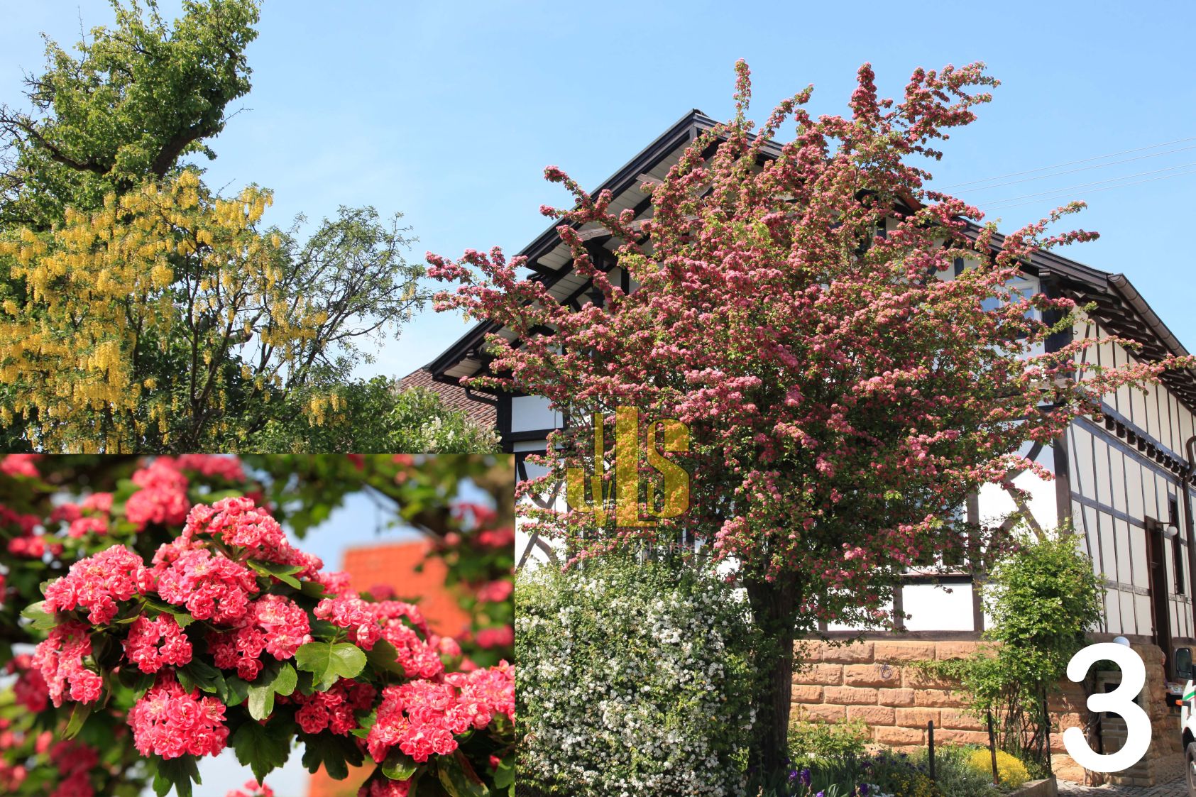 JustusvonLiebigSchule Göppingen Gärtner 2 FS II Bs Gala (BW 8)