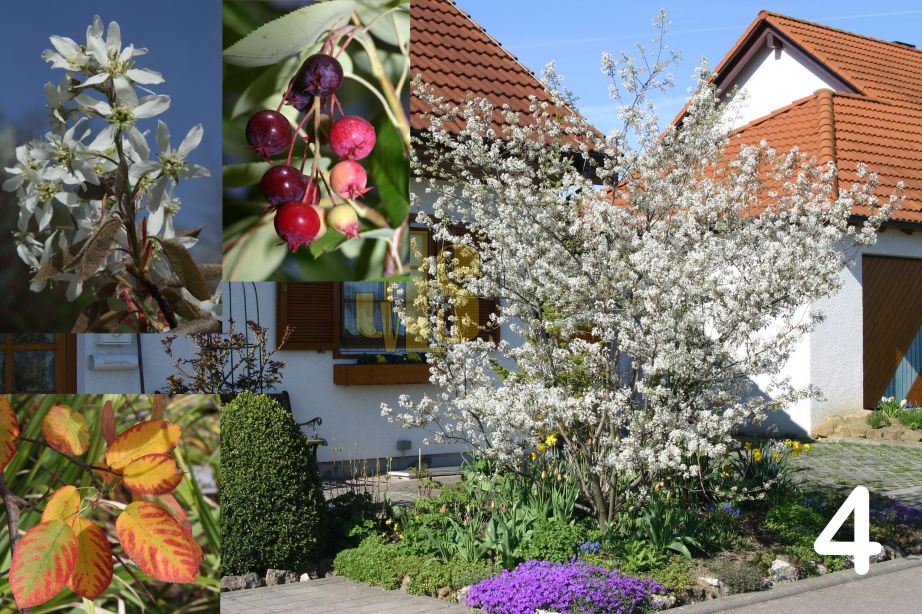 JustusvonLiebigSchule Göppingen Gärtner 2 FS II Bs Gala (BW 8)